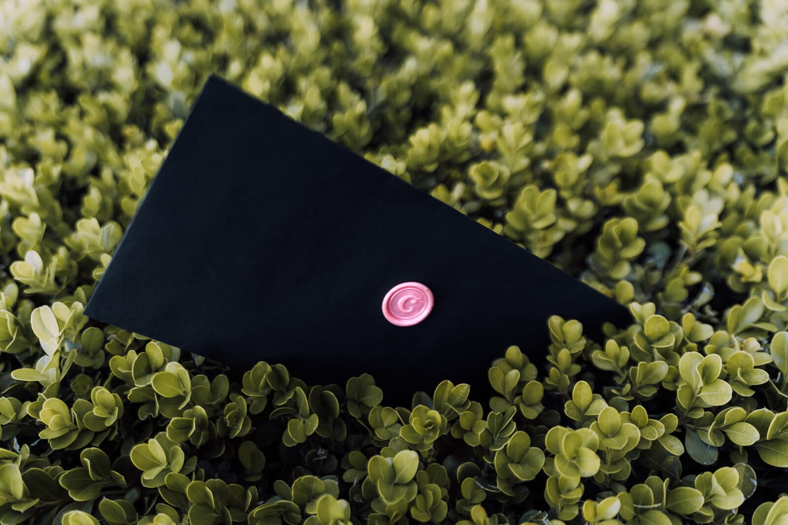 A sealed Classified envelope resting in a hedge